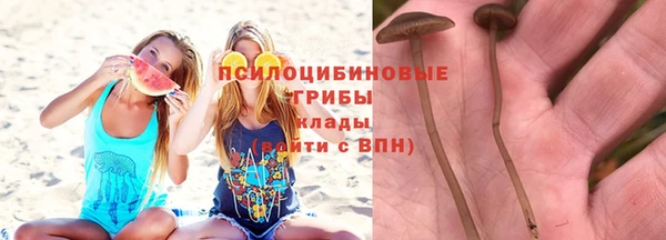 шишки Абинск
