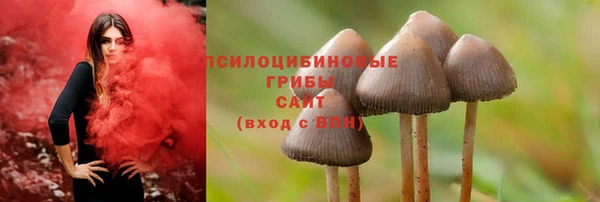 сатива Абаза
