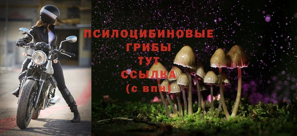 шишки Абинск