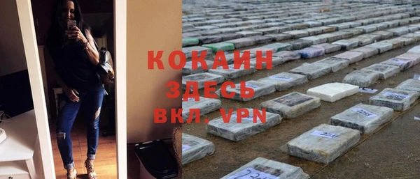 сатива Абаза