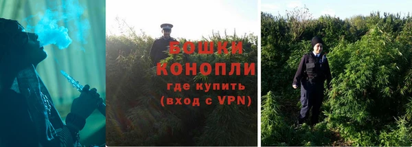 сатива Абаза